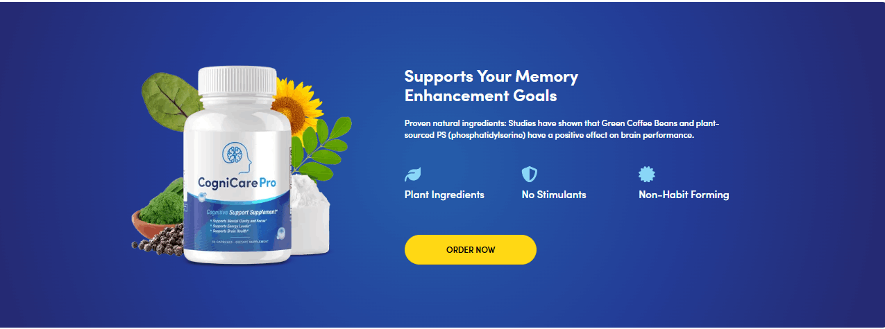 CogniCare Pro